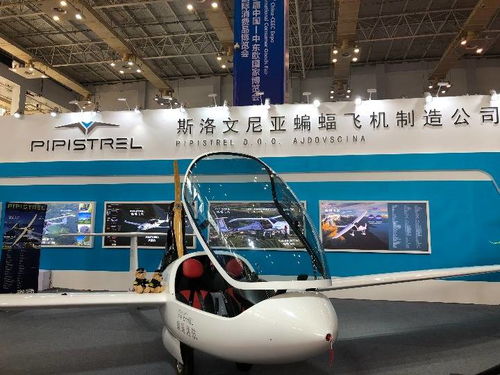 高技術(shù)與特色產(chǎn)品亮相中東歐博覽會(huì)，推動(dòng)國際技術(shù)開發(fā)合作